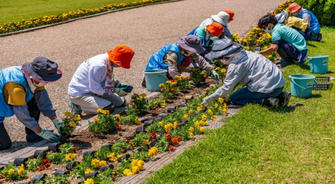 agricultural volunteers and short_term work for seniors